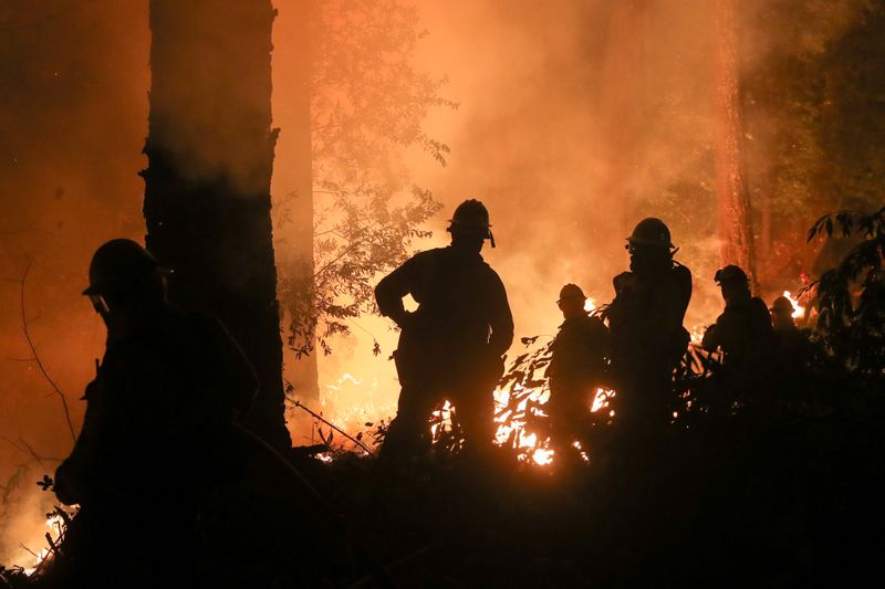 米加州ワイン産地の山火事 懸命の消火作業が続く 一部で鎮火も ワールド ニュース速報 ニューズウィーク日本版 オフィシャルサイト