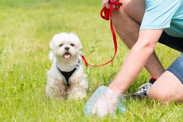 iStock-537282278.jpg