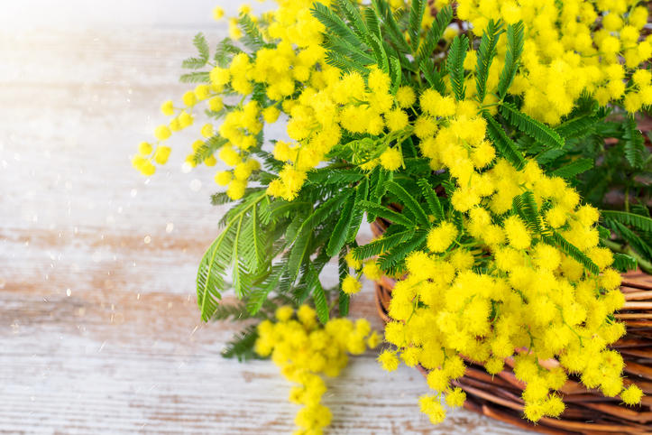 iStock-1297921068.jpg