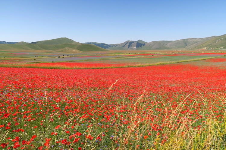 f0234936_8113079.jpg