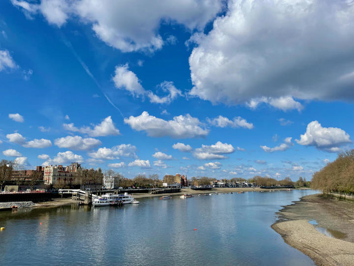 boatrace - 1.jpeg