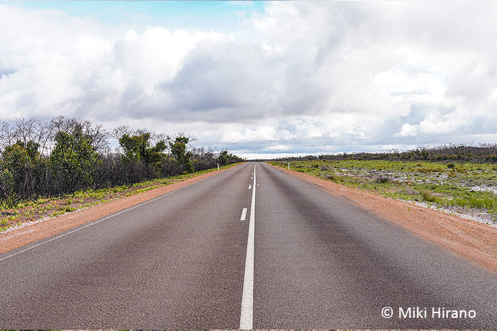flinders_chase_np3.jpg