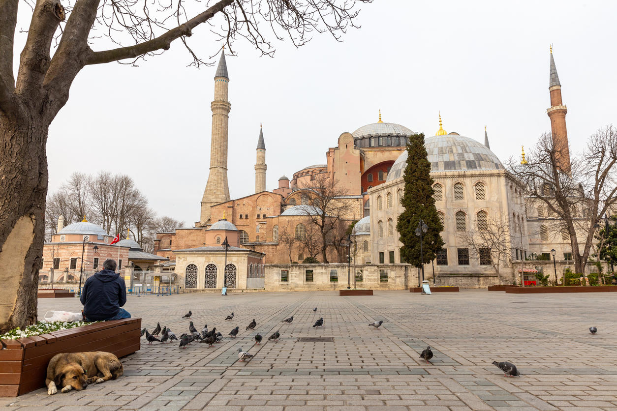 iStock-1214545098.jpg