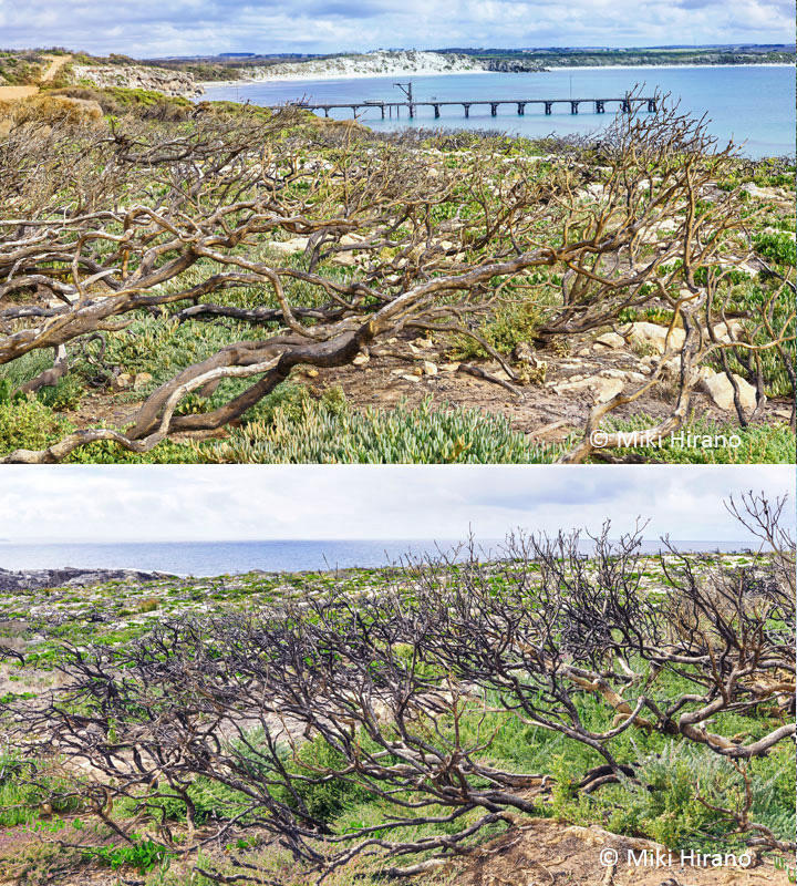 VivonneBay2.jpg