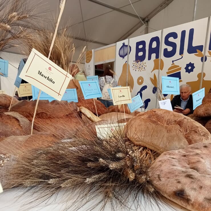 IMG20220922152146 cropped.jpg