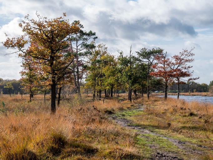 iStock-1330895770.jpg