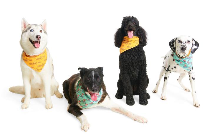 PPFC 4 dogs.jpeg
