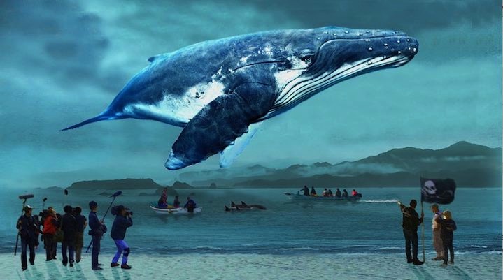 あの太地町から「捕鯨論争」に新たな光を当てる 映画『おクジラさま