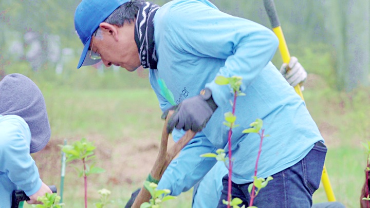 アメリカでの環境保全活動
