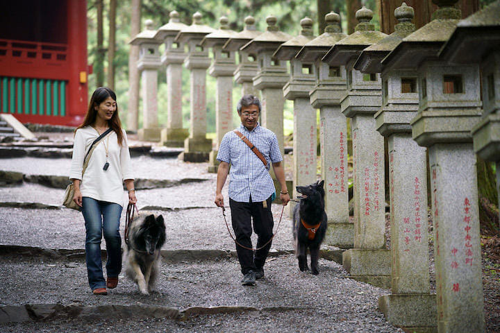 犬連れ参拝客に人気の神社が ペット連れ禁止 の苦渋の決断 ワールド 最新記事 ニューズウィーク日本版 オフィシャルサイト