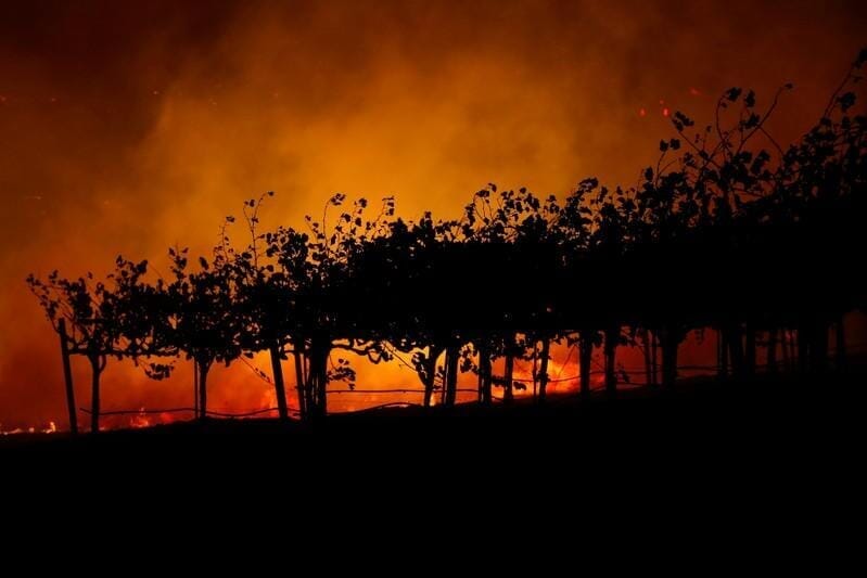 カリフォルニア州 山火事で数千人に避難命令 火災予防で万軒規模の停電実施 ニューズウィーク日本版 オフィシャルサイト