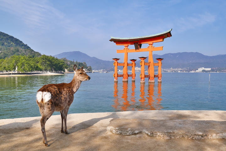 miyajima1025204776.jpg