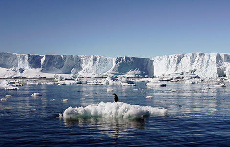 氷河を堰き止めている棚氷が崩壊の危機