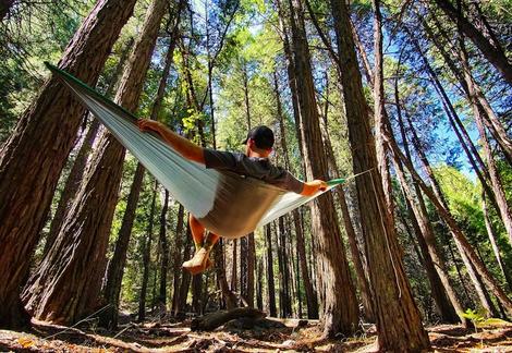 Hummingbird Hammocks SINGLE+｜DEEP PURPLE | mdh.com.sa