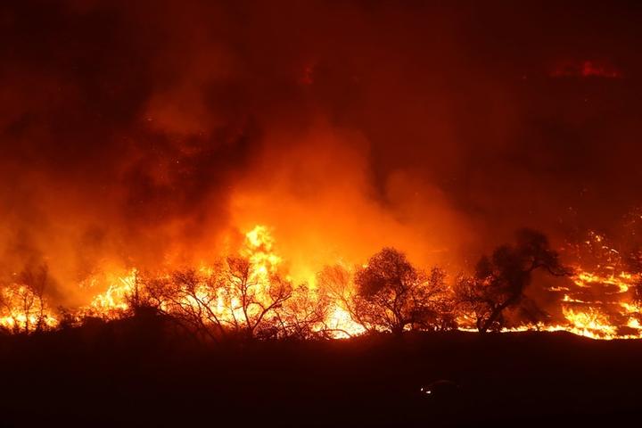 米カリフォルニア州の山火事 数十万人が避難 史上3番目の規模に ニューズウィーク日本版 オフィシャルサイト