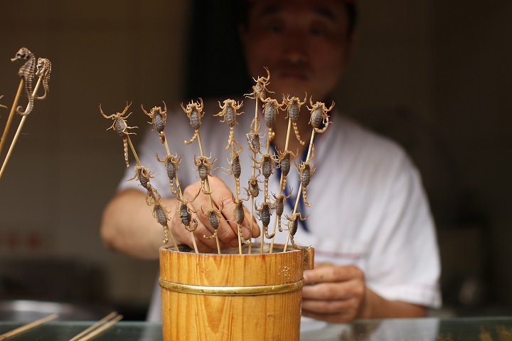 タツノオトシゴの丸焼きがタイで炎上 一転保護へ ワールド 最新記事 ニューズウィーク日本版 オフィシャルサイト