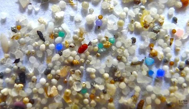 プラスチック汚染の元凶 人魚の涙 を知っていますか ニューズウィーク日本版 オフィシャルサイト