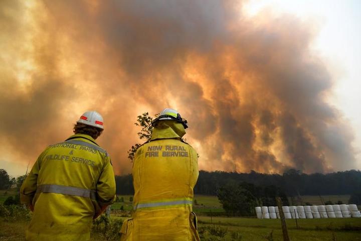 オーストラリアの森林火災が拡大 各地に緊急警報 数万人が避難へ ニューズウィーク日本版 オフィシャルサイト