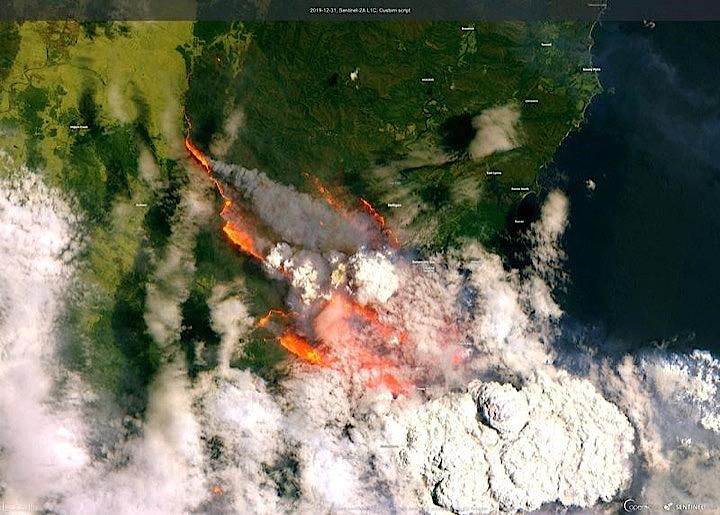 オーストラリアなどの森林火災と気候変動の因果関係 疑いの余地なし 英研究者 ニューズウィーク日本版 オフィシャルサイト