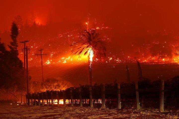 カリフォルニアワインの名産地ナパバレーでも山火事拡大 数千人に避難命令 ワールド 最新記事 ニューズウィーク日本版 オフィシャルサイト