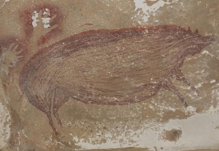 世界最古、4万5500年前に描かれた動物の洞窟壁画がインドネシアで発見される｜ニューズウィーク日本版 オフィシャルサイト