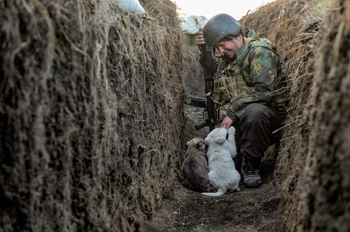 ロシアvs ウクライナ 戦場の前線で子犬たちが ワールド 最新記事 ニューズウィーク日本版 オフィシャルサイト