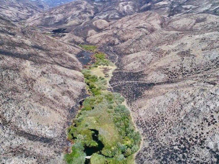 米コロラド州の山林火災 ビーバーの生息地だけ大火を免れていた ニューズウィーク日本版 オフィシャルサイト