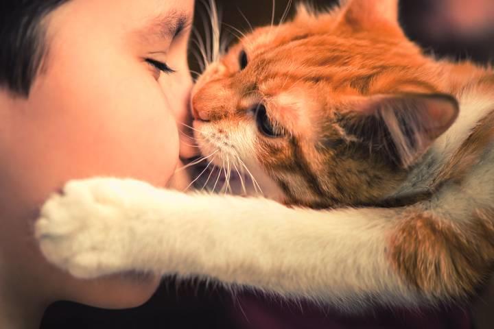 自宅でのネコの態度で分かる 飼い主との生物の種を超えた絆とその幸福度 ワールド For Woman ニューズウィーク日本版 オフィシャルサイト