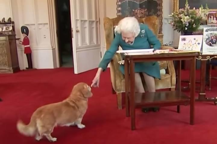 エリザベス女王ついに 犬の香水 をつくる 販売もスタート ワールド For Woman ニューズウィーク日本版 オフィシャルサイト
