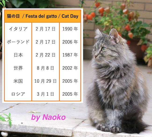 イタリア盤黒猫のタンゴ Sale 95 Off