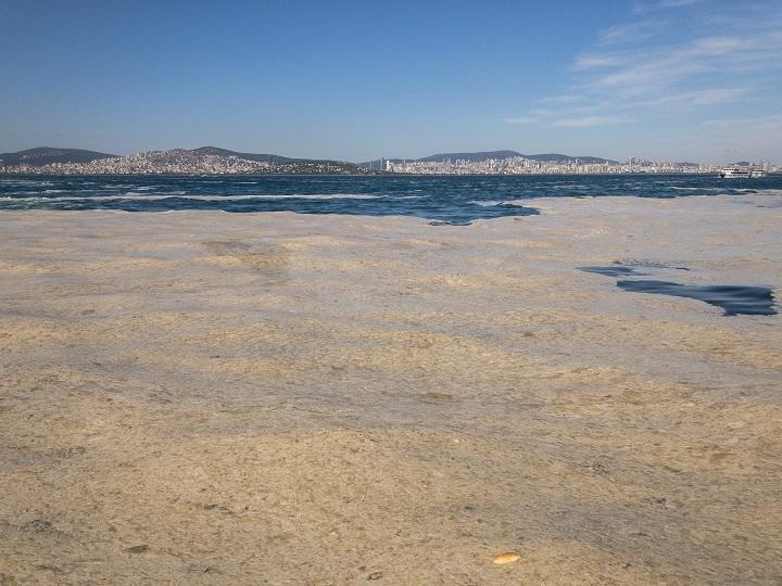 ついに悲鳴を上げたトルコのマルマラ海 鼻水 放出で世界へ警鐘を鳴らす トルコから贈る千夜一夜物語 World Voice ニューズウィーク日本版